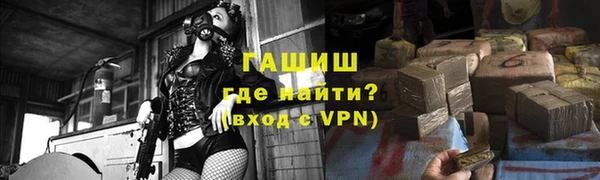 шишки Горняк