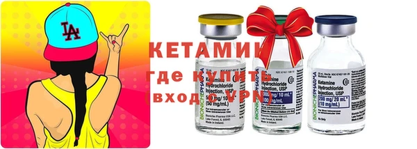 шишки Горняк