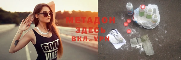 шишки Горняк