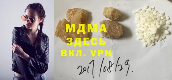шишки Горняк