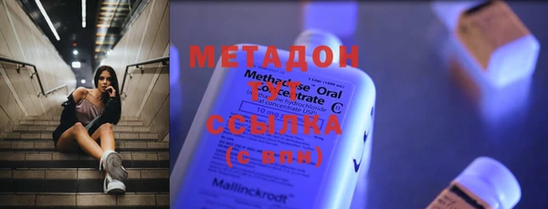 шишки Горняк