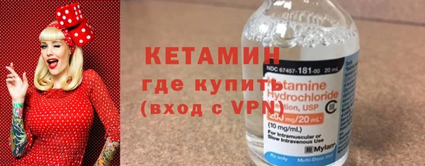 шишки Горняк
