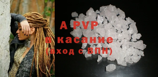 шишки Горняк