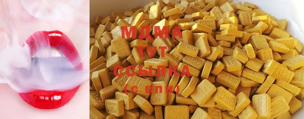 шишки Горняк