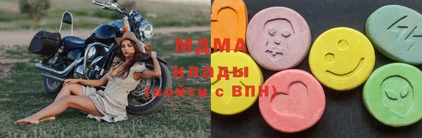 шишки Горняк