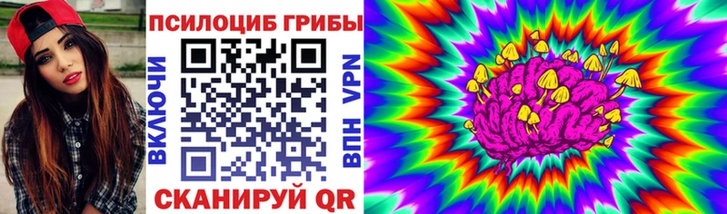 Галлюциногенные грибы мицелий  Купить где  Клин 